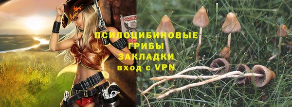 кокс Арсеньев