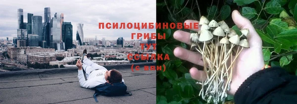 кокс Арсеньев